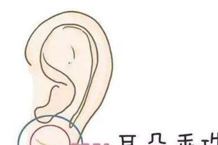 左耳朵加个垂是个什么字