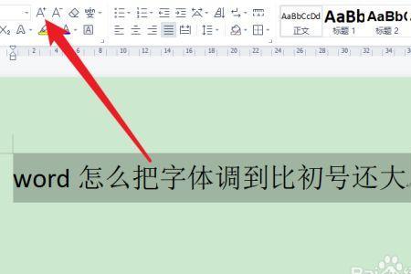 word车牌号字体多大