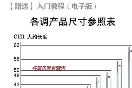 爱尔兰竖笛要学多久