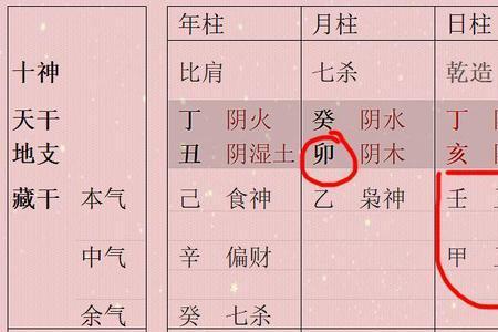 亥的根是什么