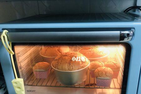 北鼎烤箱好用吗