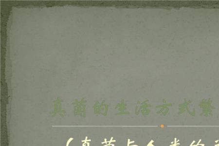 细菌生活方式