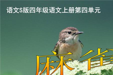 三年级上册麻雀的词语
