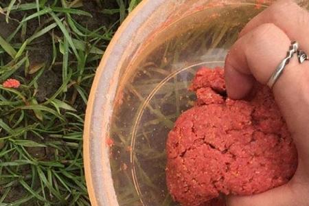 钓逛鱼用什么饵