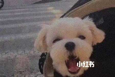 舒服的关系来源于懂得分寸意思