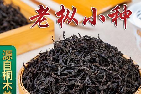 高山小种属于什么茶
