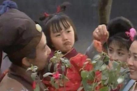 香菱适合长期养吗