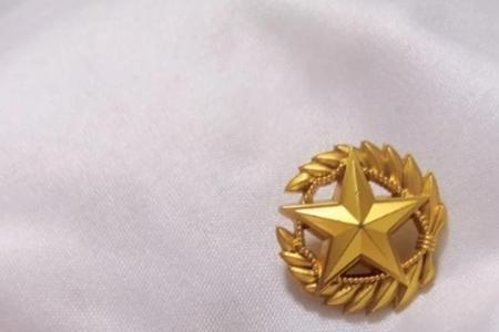 兵哥哥的领花丢了怎么办