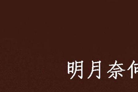 奈何岁月是什么意思