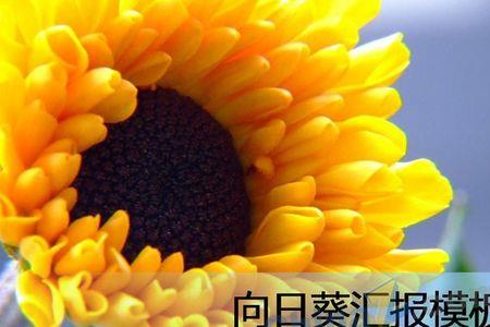 向日葵连接失败未知错误