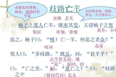 歧路亡羊什么生肖