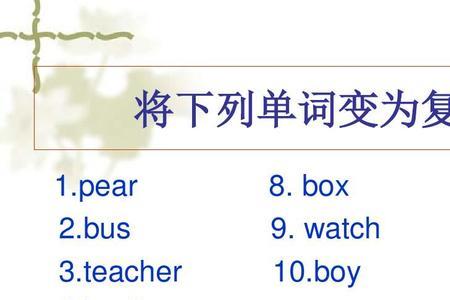 boy的复数是什么梗