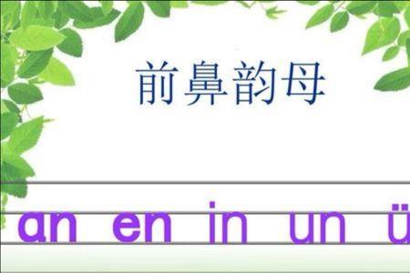 婴前鼻音 后鼻音 整体认读音节