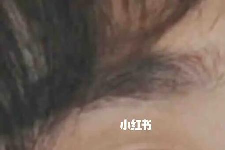 剑眉凤眼的意思