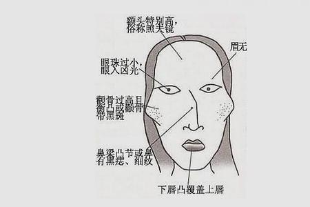 什么是脸上的横肉