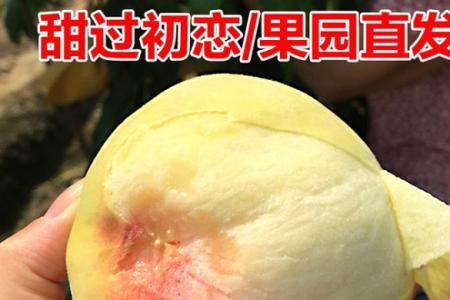 无锡水蜜桃和阳山水蜜桃区别