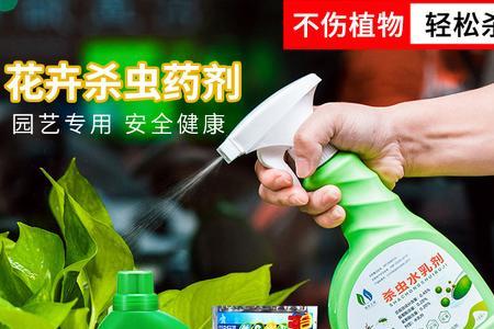 杀虫剂可以喷植物吗