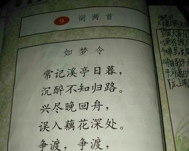 形容单家独户的诗句