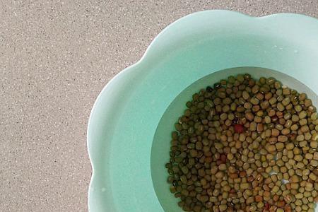 一斤绿豆芽需要多少豆子