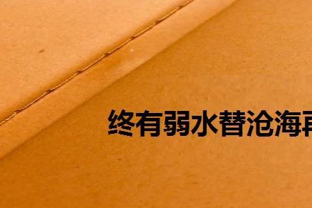 沧海观澜什么意思