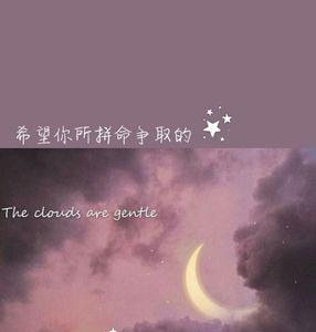 心如所愿不负韶华什么意思