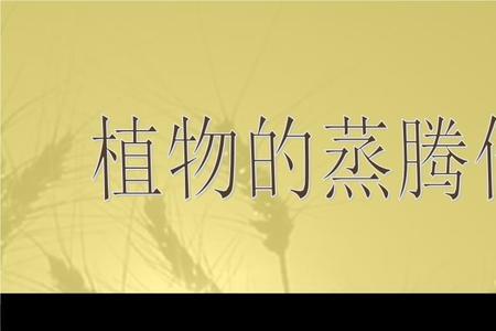 为什么蒸腾作用能降温