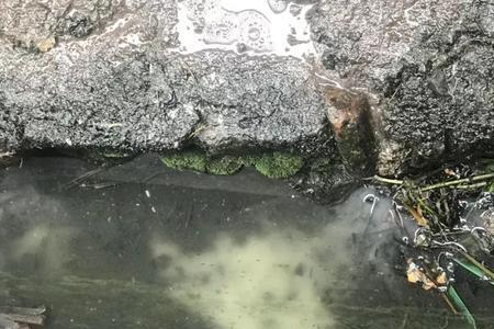 福州臭水沟那么多难怪蚊子多