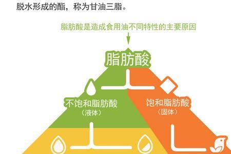 亚油酸是什么油