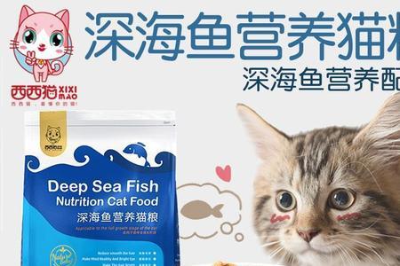 自制猫粮一天喂多少