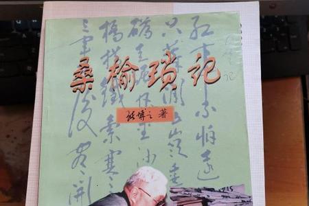 敌后琐记作者