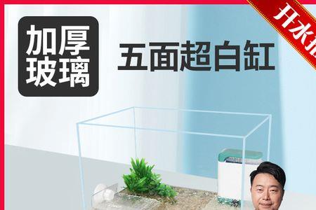 乌龟裸缸养好还是铺点石头