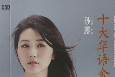 孙露属于什么类型歌手