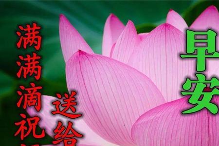 长辈说早安吉祥怎么回复