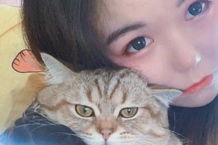 囧菌的读音
