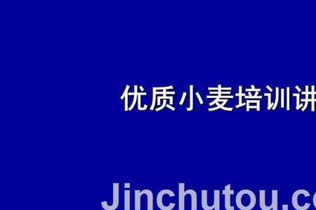 金钻一号小麦品种和九号的区别