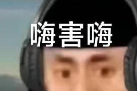 宁波八音什么梗