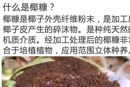 椰棕如何泡发