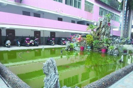 没有水的池是什么池