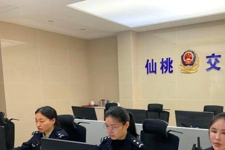 公安机关属于什么行业
