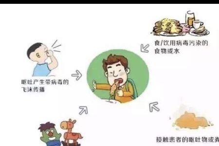 传播途径和传播过程一样吗