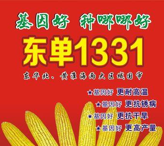 东单十大稀有品种