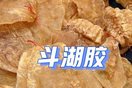 斗湖鱼胶缅甸好还是印尼好