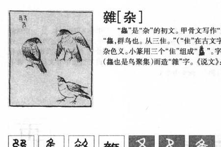 什么杂念的成语