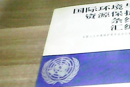 主要的国际环境公约有哪些