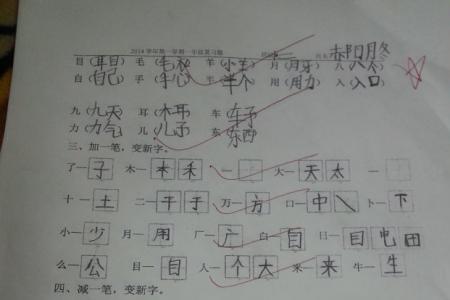 电字加一笔可以变成哪些字