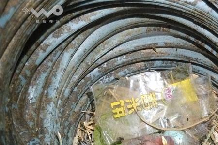 人工麻雀窝搭建全过程