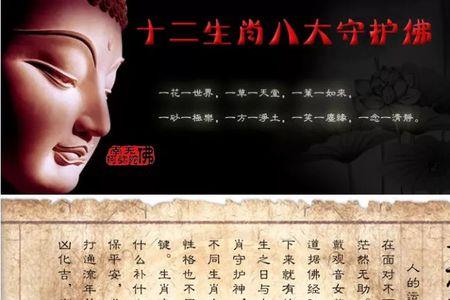 神是什么生肖