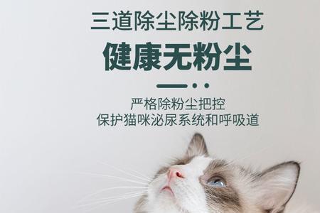 猫砂属于什么行业