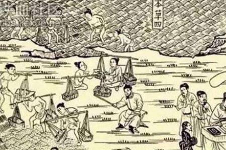 古人怎么知道盐的重要性