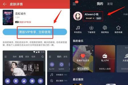网易云svip有什么用